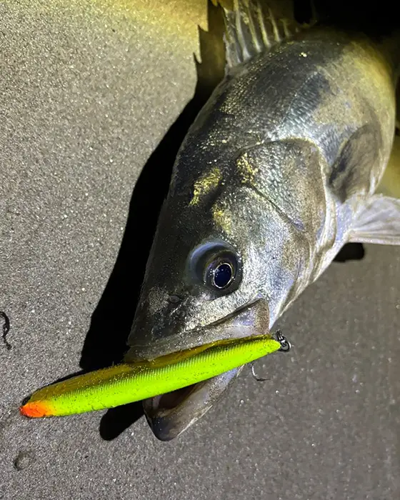 ZIPBAITS ジップベイツ