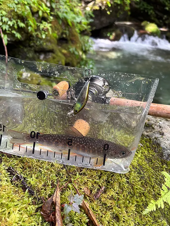 フィールドレポート | ZIPBAITS ジップベイツ