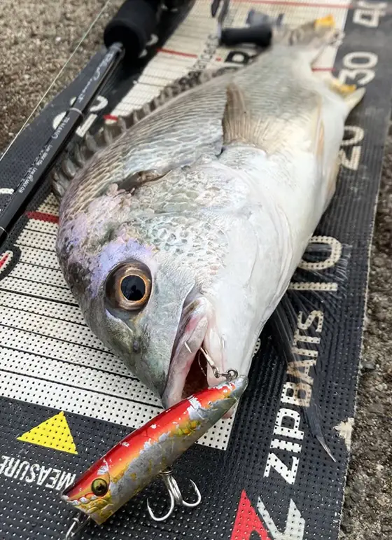 ZIPBAITS ジップベイツ