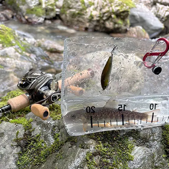 フィールドレポート | ZIPBAITS ジップベイツ
