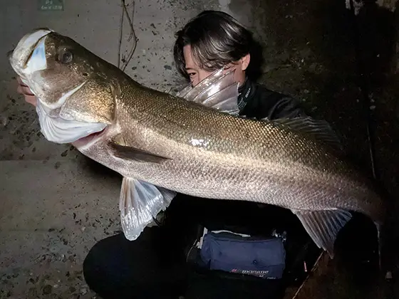 ZIPBAITS ジップベイツ