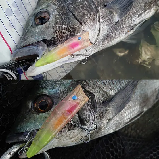 ZIP Baits MAG-DRIVE 56mm シンキングミノー ZIP Baits MAG-DRIVE 56mm シンキングミノー（シーバス | 製品