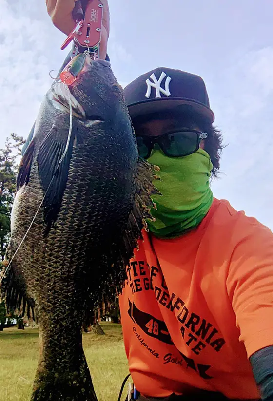 ZIPBAITS ジップベイツ