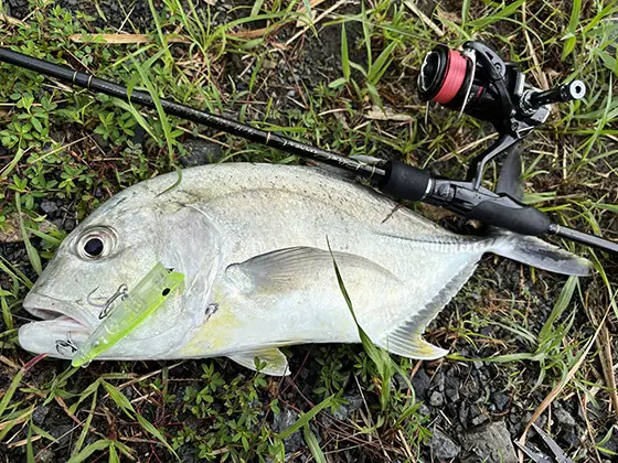 ZIPBAITS ジップベイツ