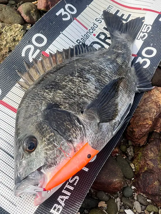 ZIPBAITS ジップベイツ