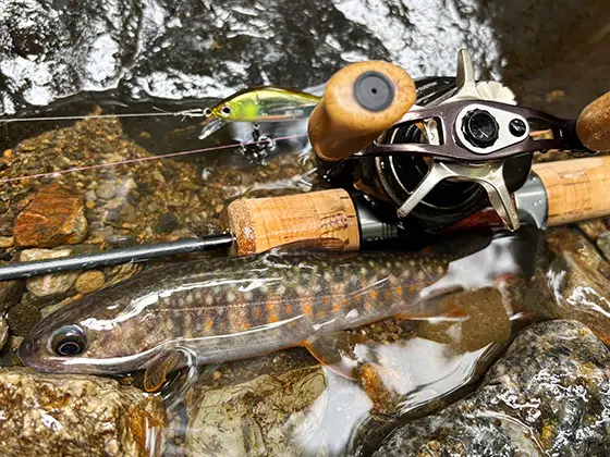 渓流　ストレートウッドグリップ♪ 渓流 ストレートウッドグリップ♪