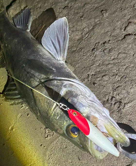 DIXON 240 花松黒カラー ルアー 240mm デプス バスルアー イヴォーク ライジングブラック