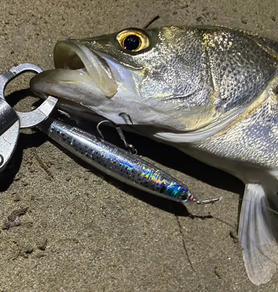 ジップベイツ　フラボーイ42F　42S　ニョロ系ルアー　エリアトラウト ジップベイツ フラボーイ42F 42S ニョロ系ルアー エリアトラウト