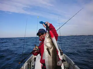 8 | スペシャルコンテンツ | ZIPBAITS ジップベイツ