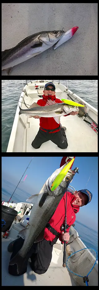 7 | スペシャルコンテンツ | ZIPBAITS ジップベイツ