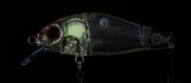 リッジ 43F/43SS | ライトソルト | 製品情報 | ZIPBAITS ジップベイツ