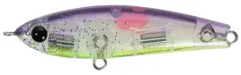 ザブラ ラファエル スクイッドSP | クロダイ | 製品情報